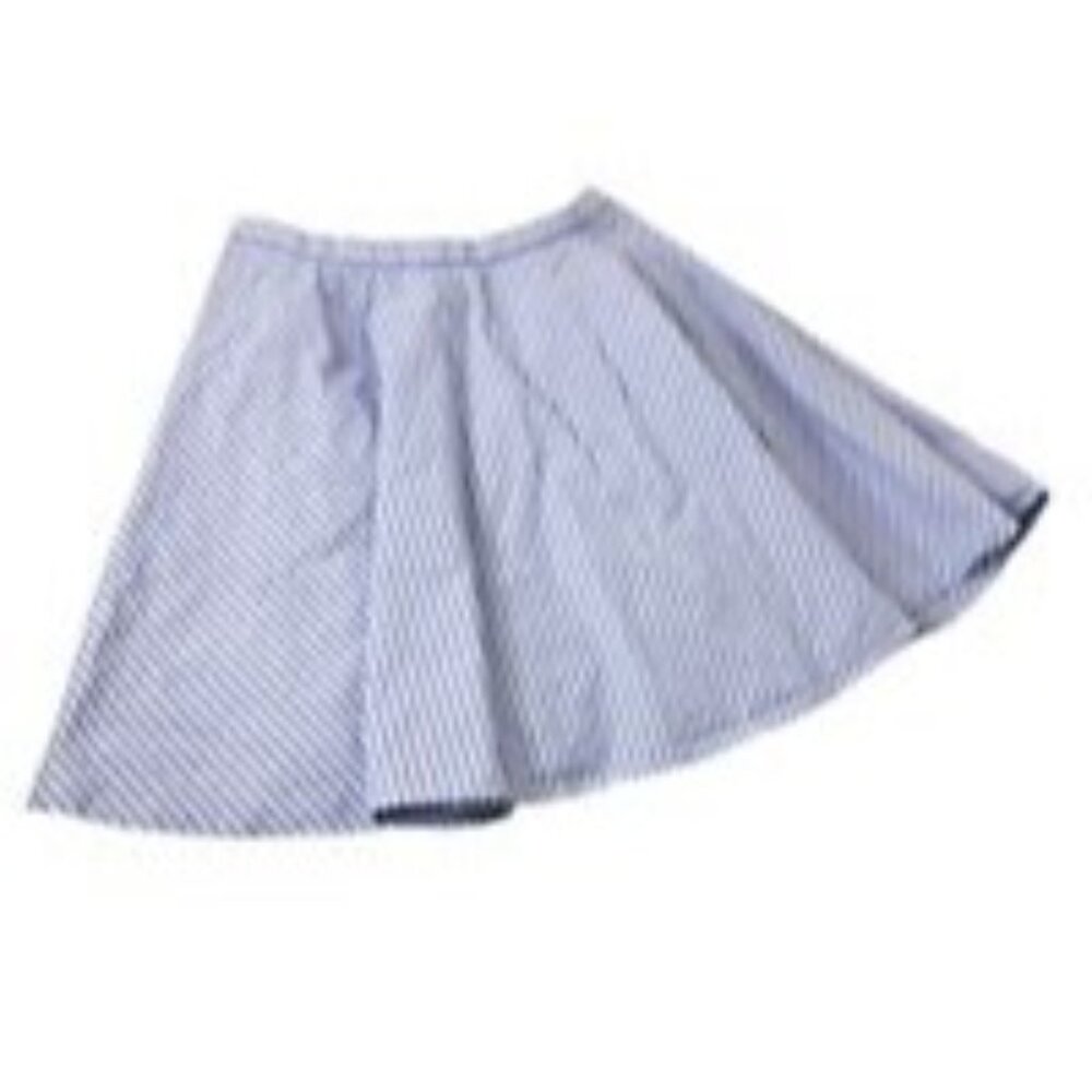 J Crew Skirt Zip Women Juniors 0 Circle Pocket Blue White Striped Mini Lined EUC - Picture 3 of 11